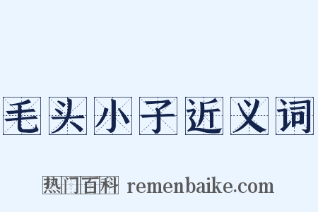 毛头小子近义词是什么意思的图片